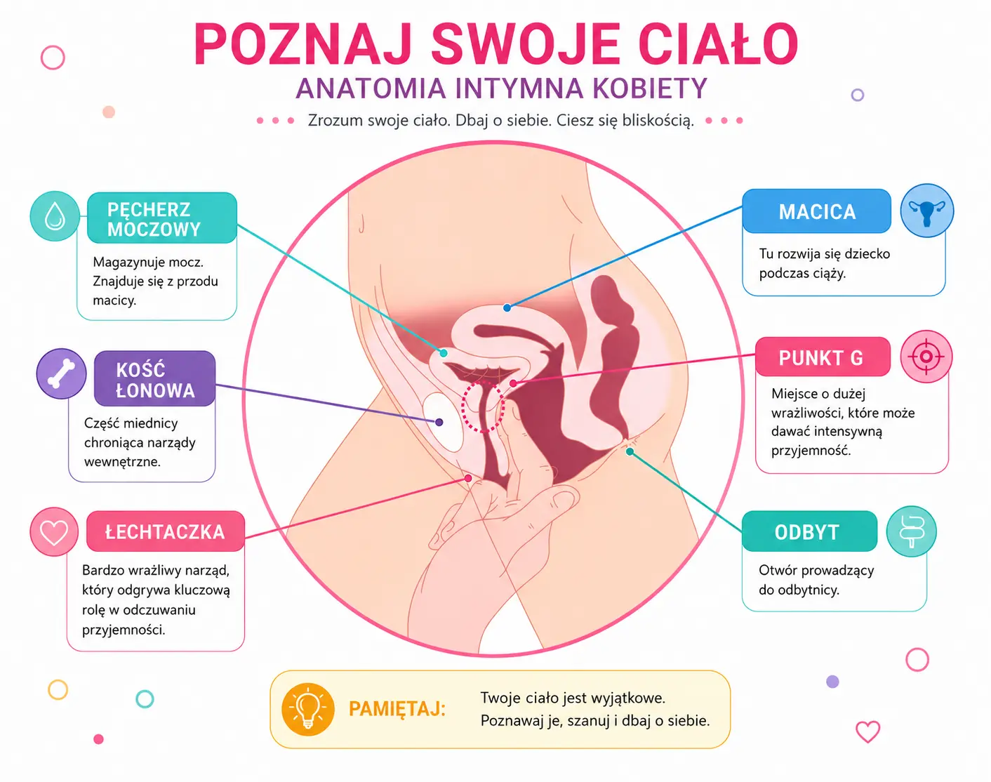Ilustracja anatomiczna kobiecych narządów płciowych pokazująca położenie punktu G na przedniej ścianie pochwy.